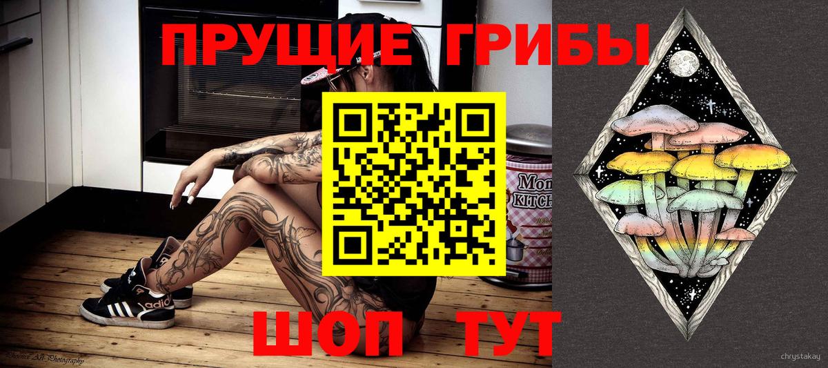 Галлюциногенные грибы Psilocybe  Вход с VPN  Тихвин 