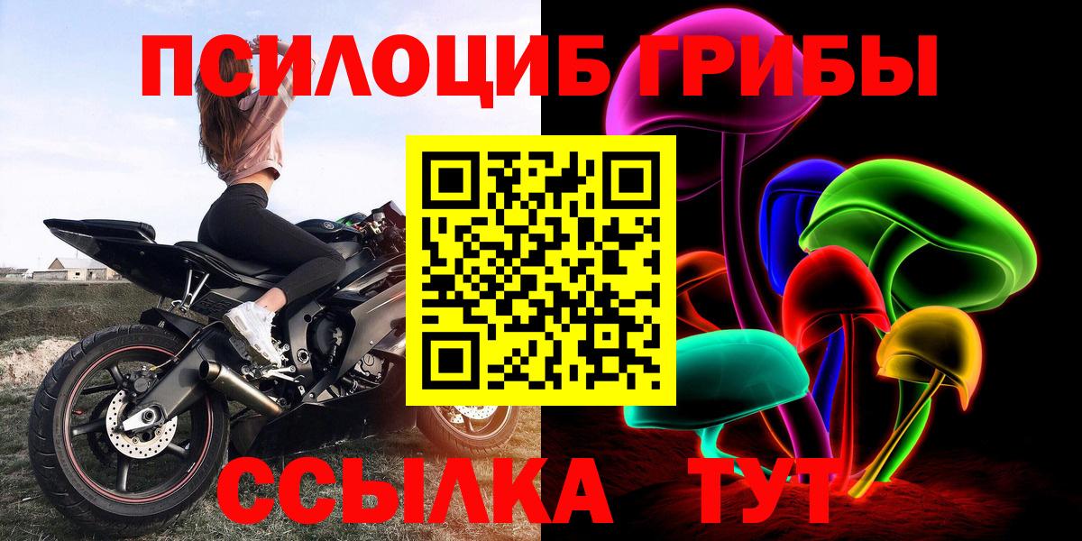 Галлюциногенные грибы Psilocybe Тихвин